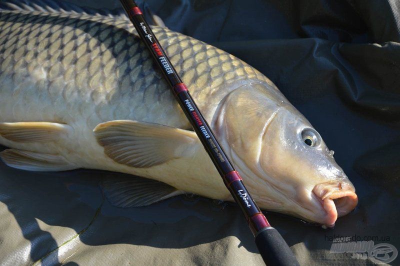 Фідер Haldorado Power Fighter 330M 15-60gr