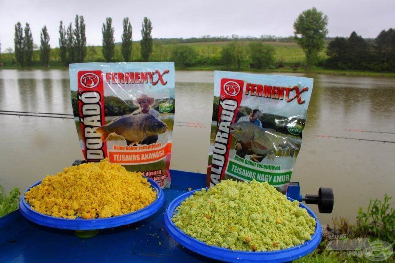 Прикормка Большой амур Haldorado FermentX 0,9кг